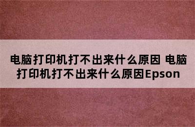 电脑打印机打不出来什么原因 电脑打印机打不出来什么原因Epson